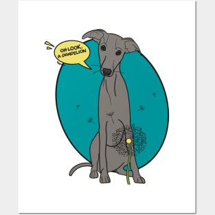 Funny greyhound design; Grey Italian greyhound with a dandelion flower Posters and Art